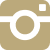 Vector